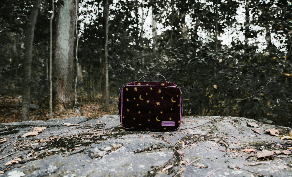 Daughters of the Moon Photographer Organization Case - Perpetual Plum