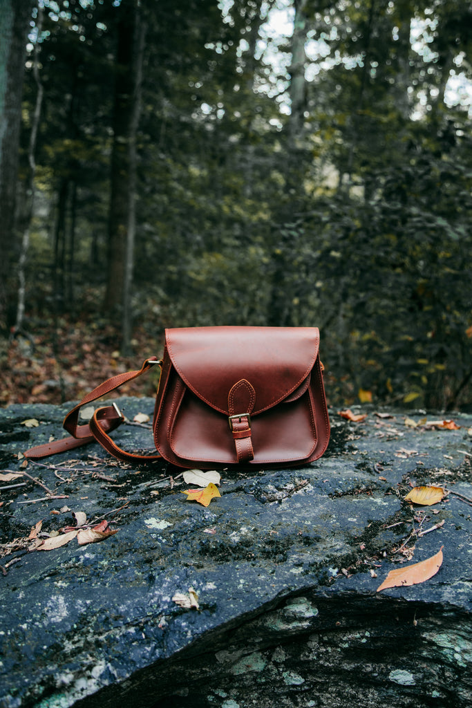 Dark Brown Leather with Scottish Rogue Interior - Mini Dublin Daily